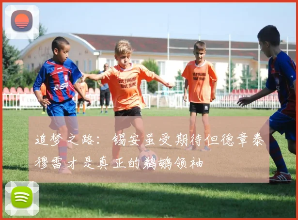 追梦之路：锡安虽受期待但德章泰穆雷才是真正的鹈鹕领袖