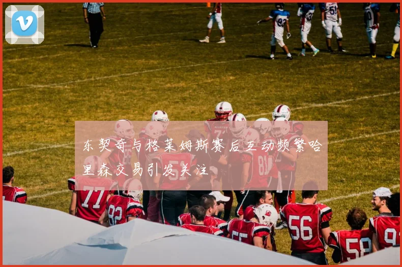 东契奇与格莱姆斯赛后互动频繁哈里森交易引发关注